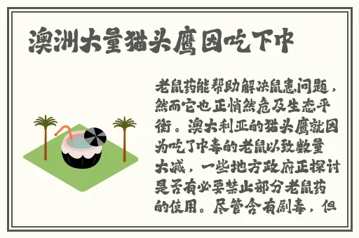 51看片免费视频在观看